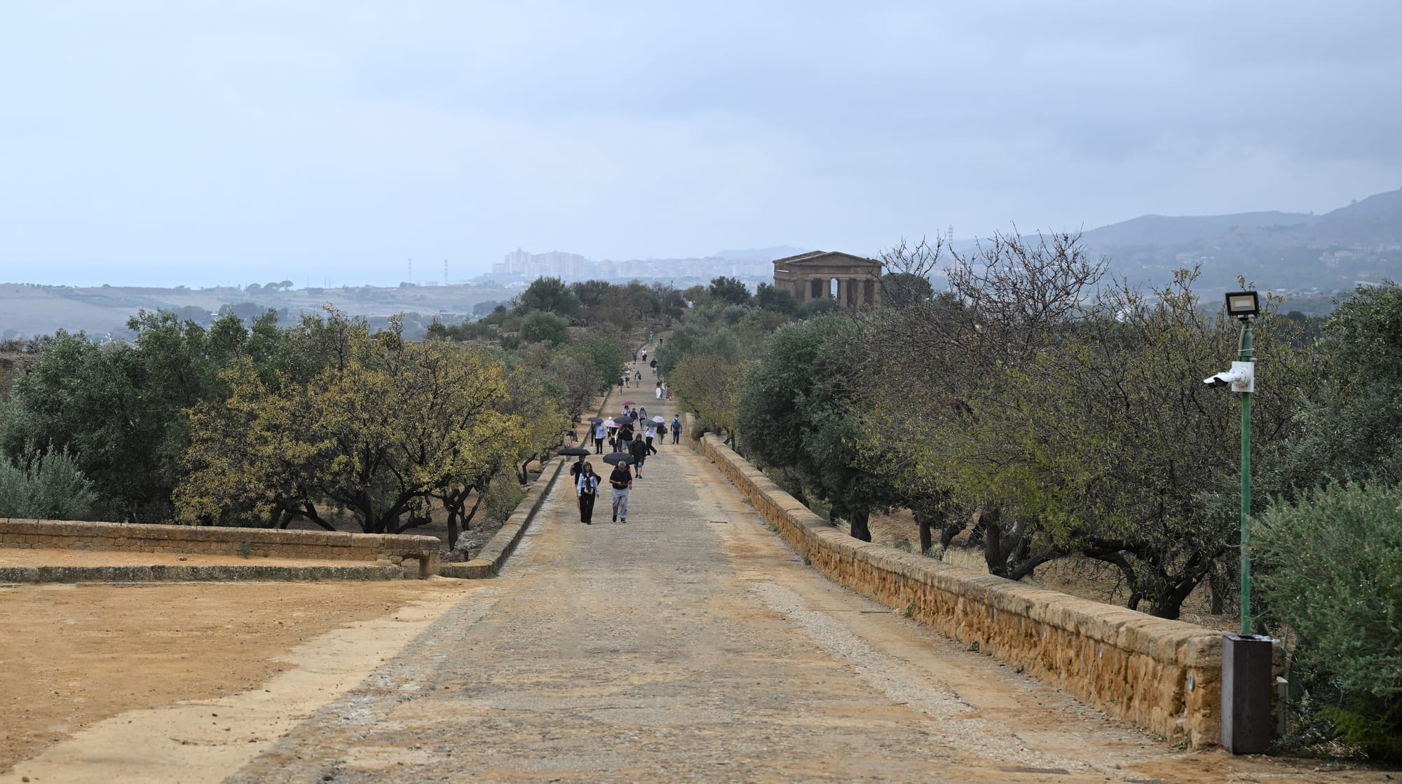 Valle dei Templi in Agrigento, Sicily, Italy: the path towards the so-called Temple of Concordia