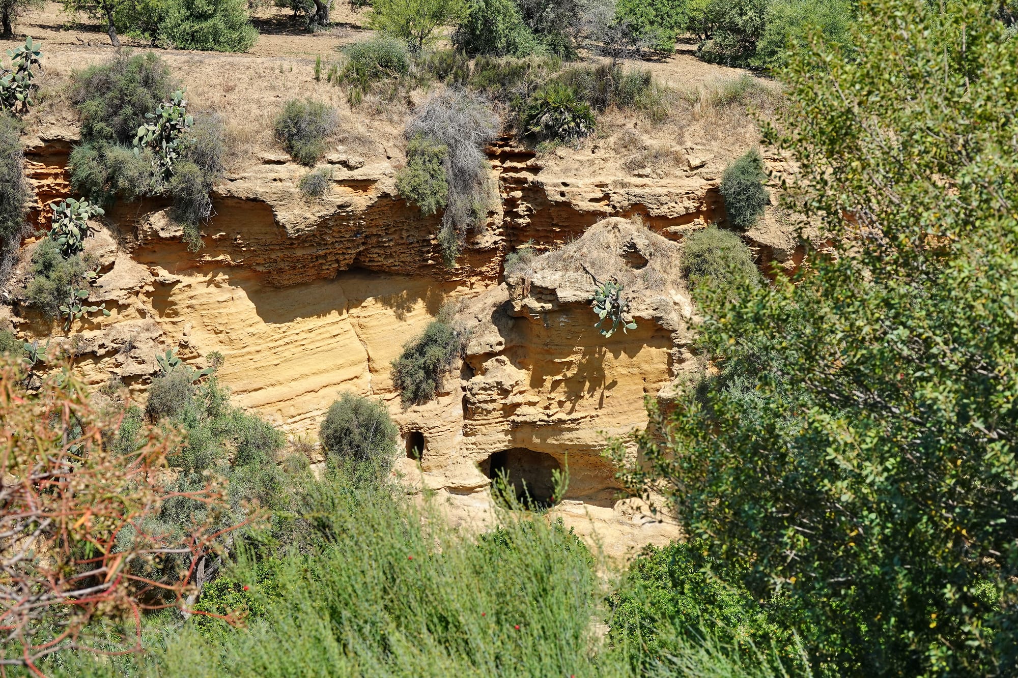 The Kolymbethra garden in the Valley of the Temples, Agrigento